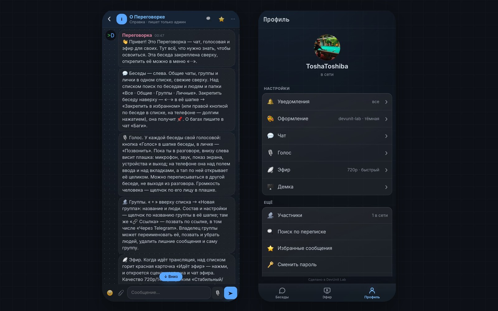 DevUnit Lab Peregovorka: the guide to chats, voice and streaming and the user profile in the mobile client